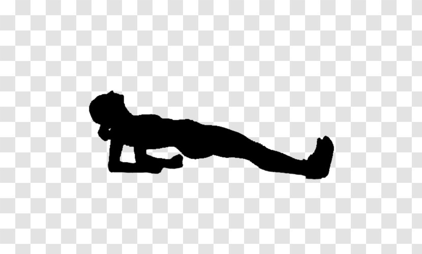 Plank Calisthenics Human Back Exercise Forearm - Elbow - Mammal Transparent PNG