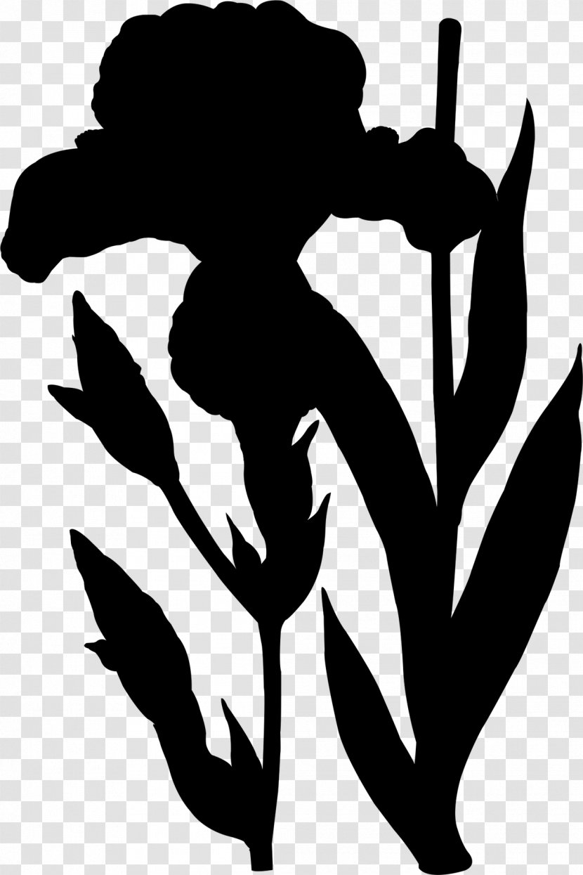 Flower Clip Art Human Behavior Silhouette - Flowering Plant Transparent PNG