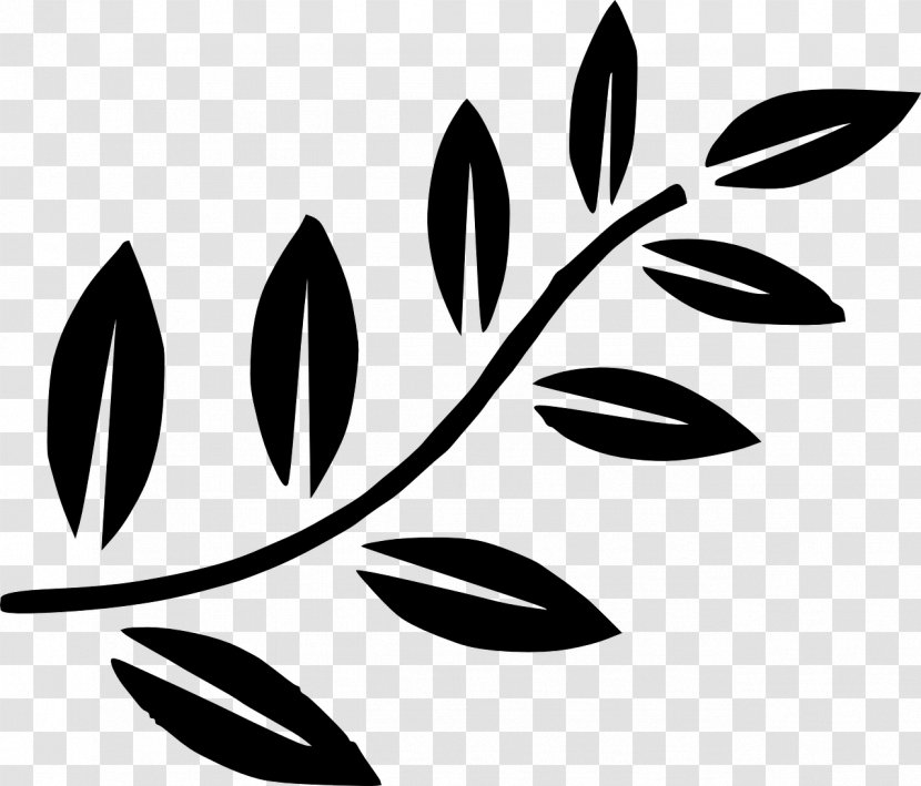 Olive Branch Clip Art - Leaf Patterns Transparent PNG