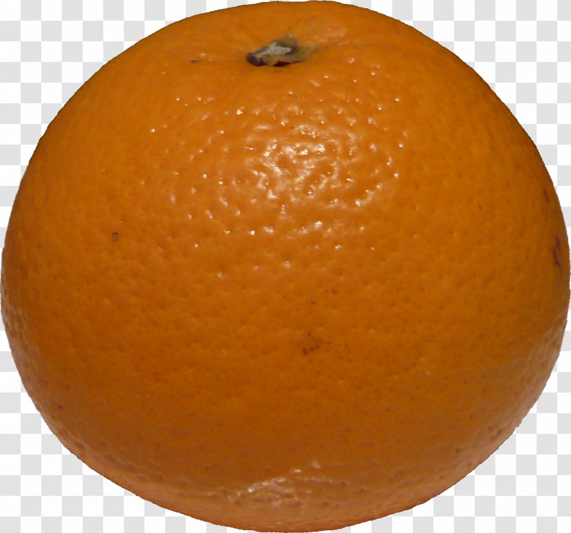 Blood Orange Tangerine Clementine Tangelo Mandarin - Citrus - Grapefruit Transparent PNG