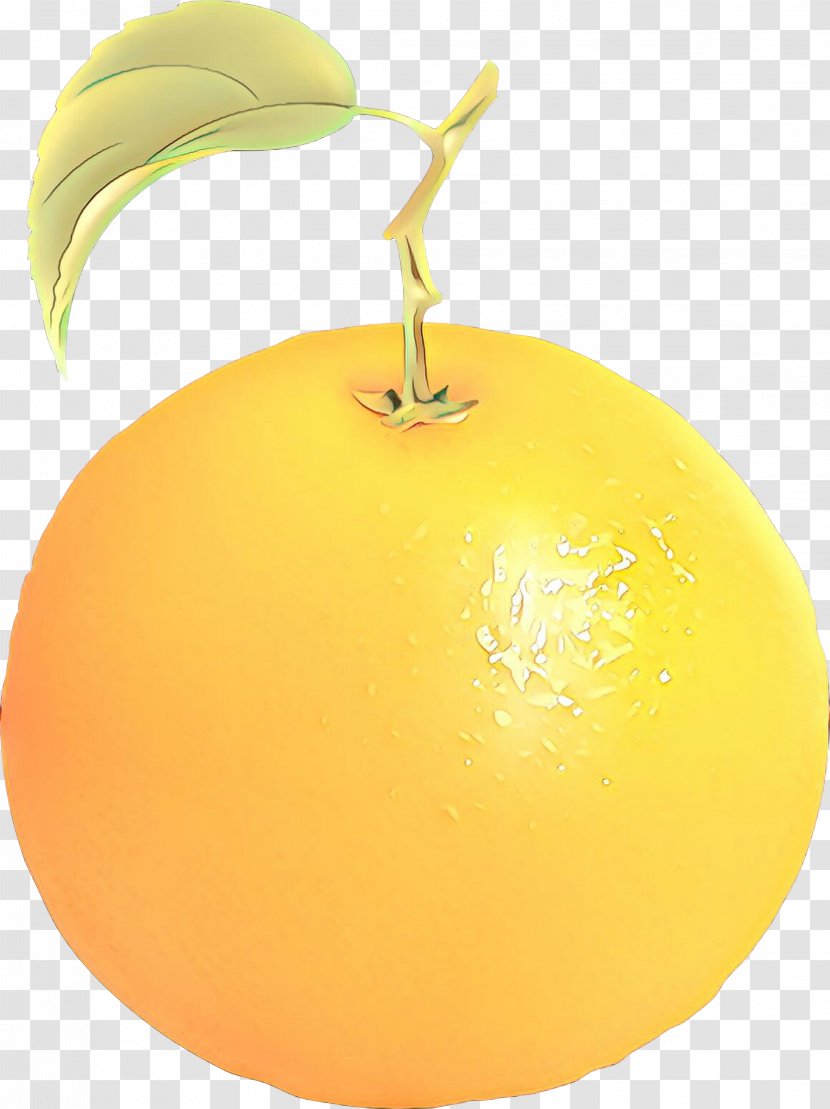 Citrus Apple Orange S.A. - Sa Transparent PNG