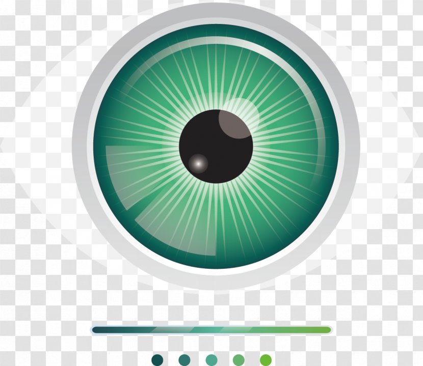 Eye Drawing Illustration - Flower - Vector Painted Icon Transparent PNG