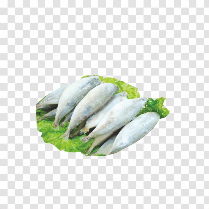 Sardine Fish Slice Seafood - Mackerel - Raw Transparent PNG