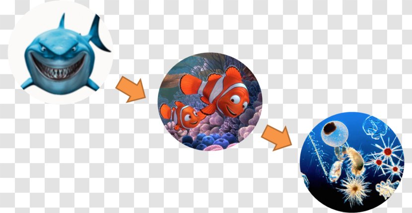 Finding Nemo Desktop Wallpaper Art - Computer - Bruce Transparent PNG