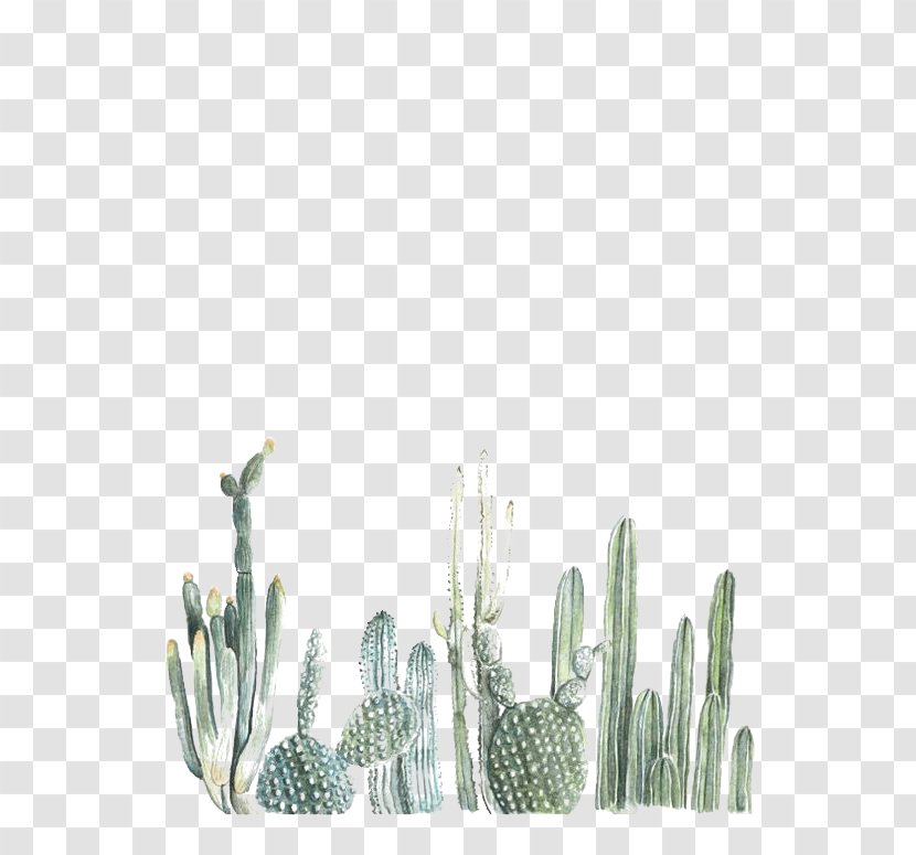 Cactaceae Paper Printing Watercolor Painting - Cactus Transparent PNG