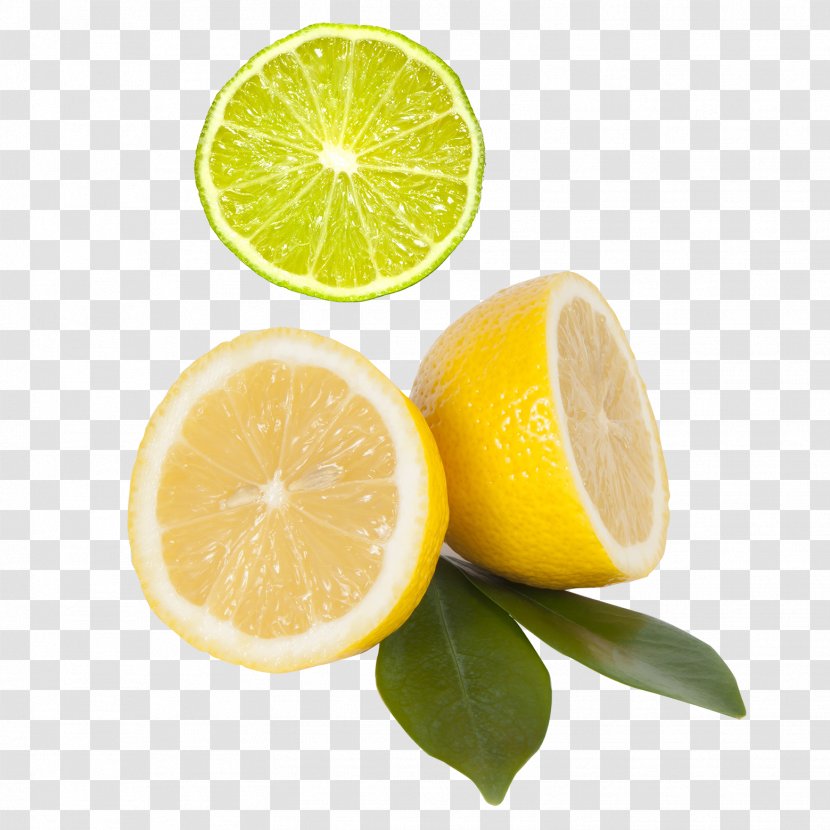 Juice Gin Sour Lemon Mandarin Orange Transparent PNG