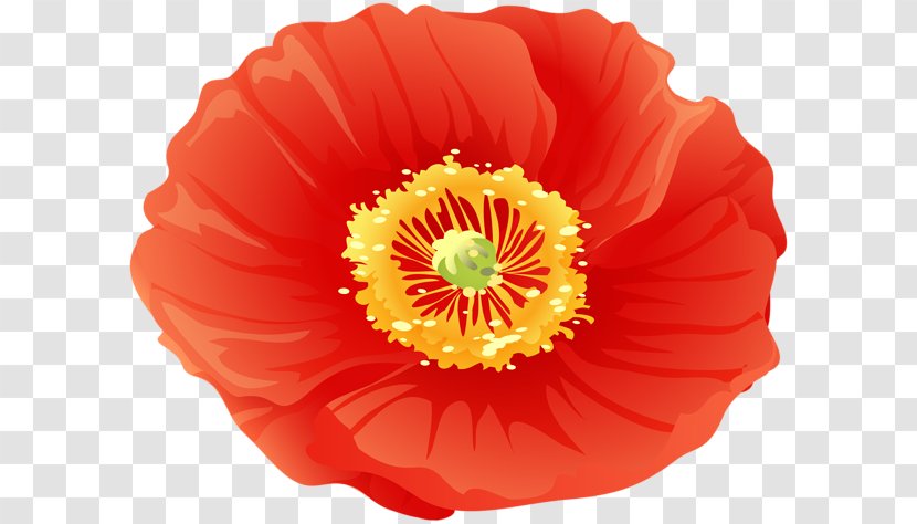 Poppy Clip Art Image Transparency - Eschscholzia Californica - Poppies And Translucency Transparent PNG