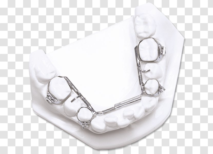 Silver Product Design Jaw - Human Body Transparent PNG
