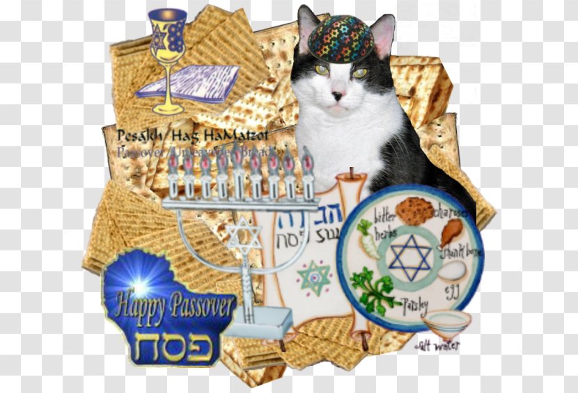 Cat Haggadah Whiskers Pet - Greeting Note Cards - Passover Transparent PNG