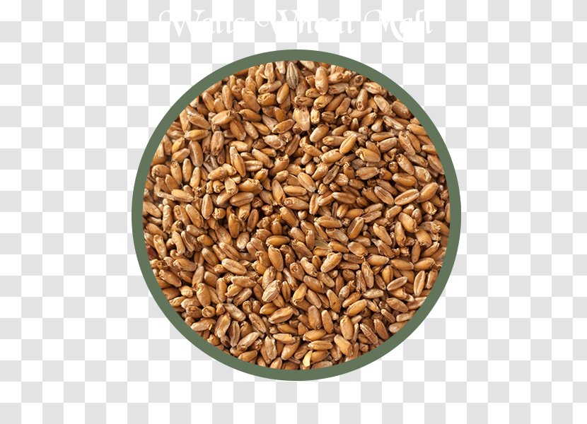 Cereal Germ Beer Malt Whole Grain - Food Transparent PNG