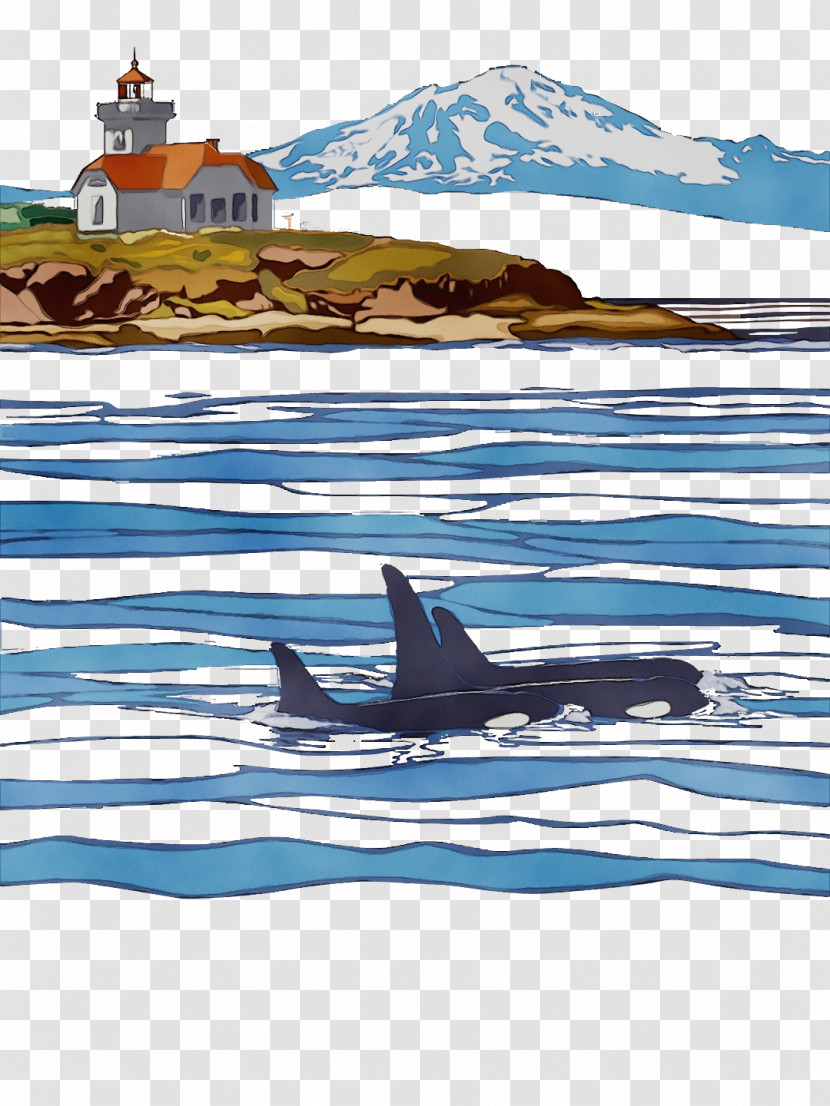 09738 Arctic Killer Whale Water Line Transparent PNG