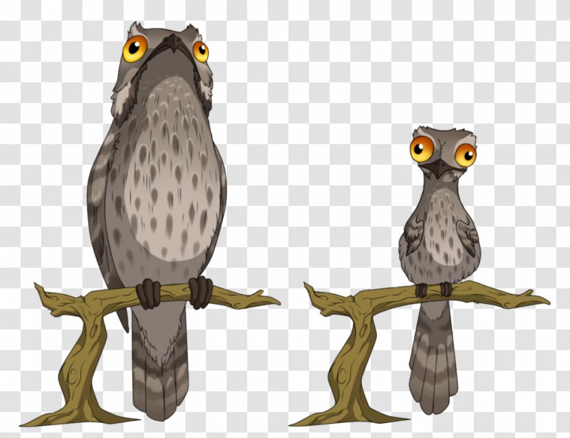 Tawny Owl Bird Potoo Great Grey - Organism Transparent PNG