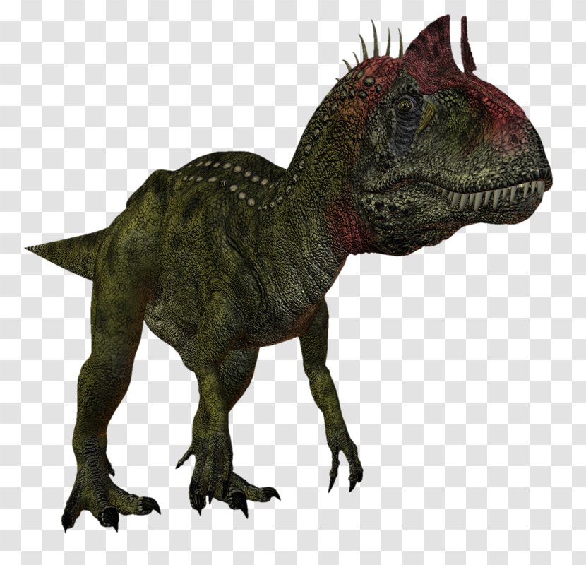 Tyrannosaurus Dinosaur Spinosaurus Cryolophosaurus Velociraptor - Dinosaurs Transparent PNG