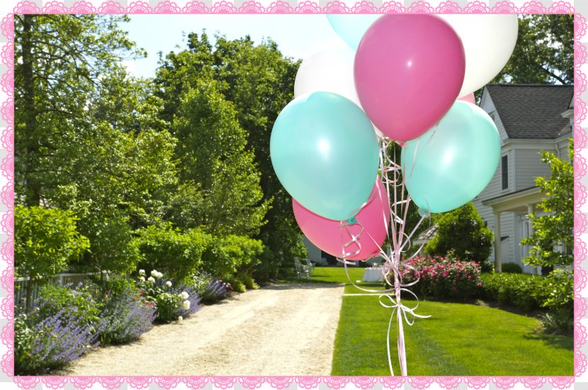Tea Party Backyard Supply Graduation Ceremony - Drinking Straw - Pink Ballons Transparent PNG