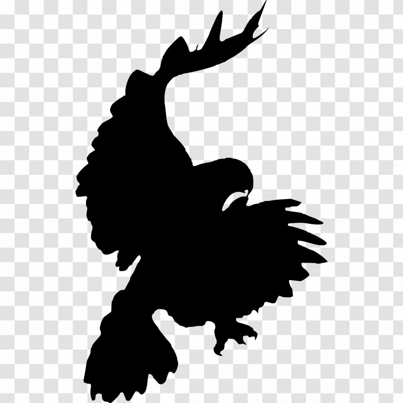 Bird Red-tailed Hawk Clip Art - Galliformes - Raven Transparent PNG