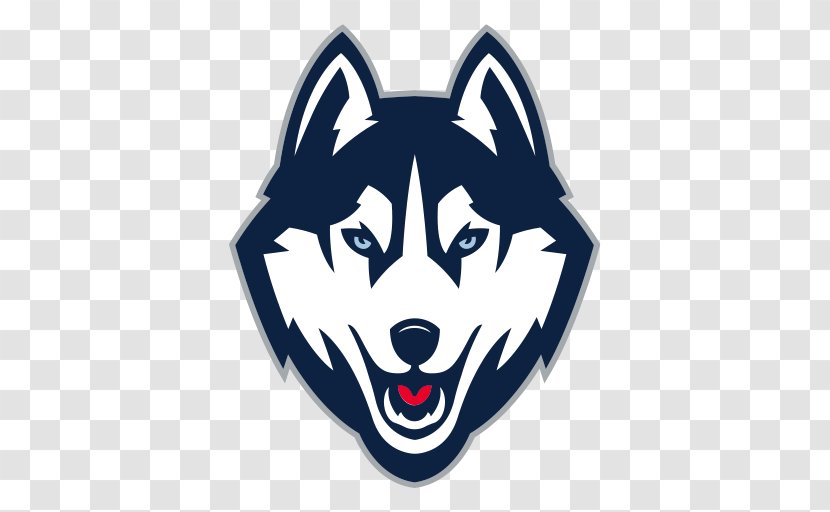 University Of Connecticut Huskies Men's Basketball Baseball Football Ice Hockey - Dog - Husky Transparent PNG