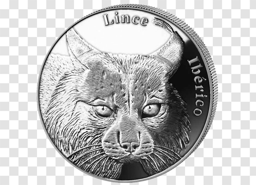 Euro Coins Iberian Peninsula Whiskers Lynx - Cat Like Mammal Transparent PNG