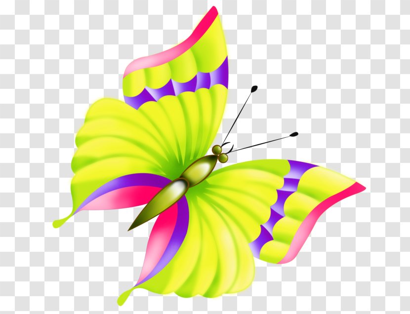Child Flower Butterfly Coloring Book - Petal Transparent PNG