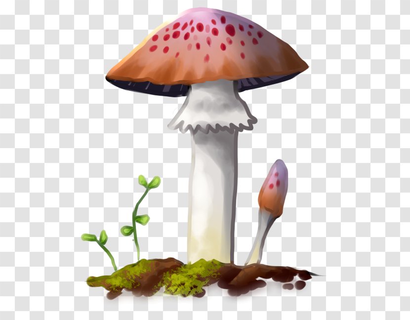 Mushroom - Mush Transparent PNG