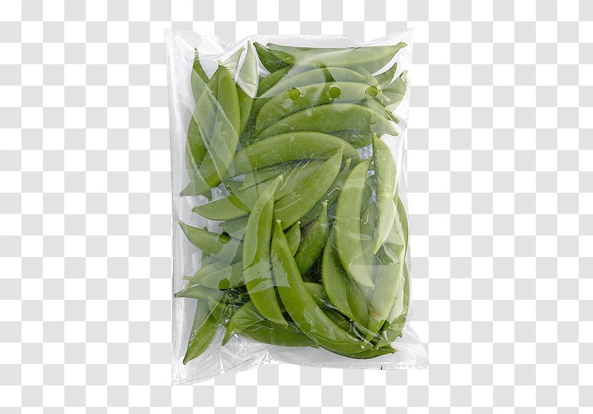 Snap Pea Longjing Tea Lima Bean Green - Vegetarian Food Transparent PNG