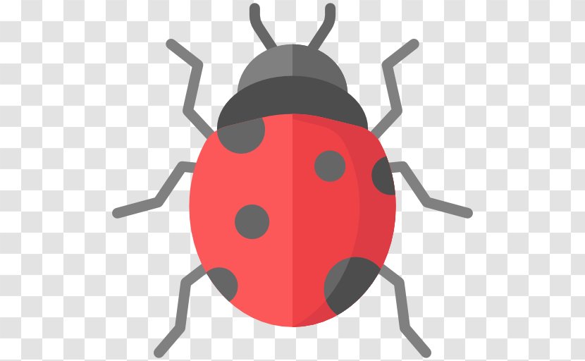 Clip Art - Ladybird Beetle - Scale Insects On Indoor Plants Transparent PNG