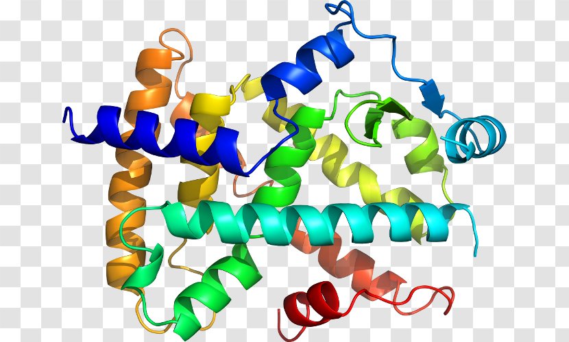 Clip Art Line Product Point Organism - Peroxisome Proliferatoractivated Receptor Delta Transparent PNG