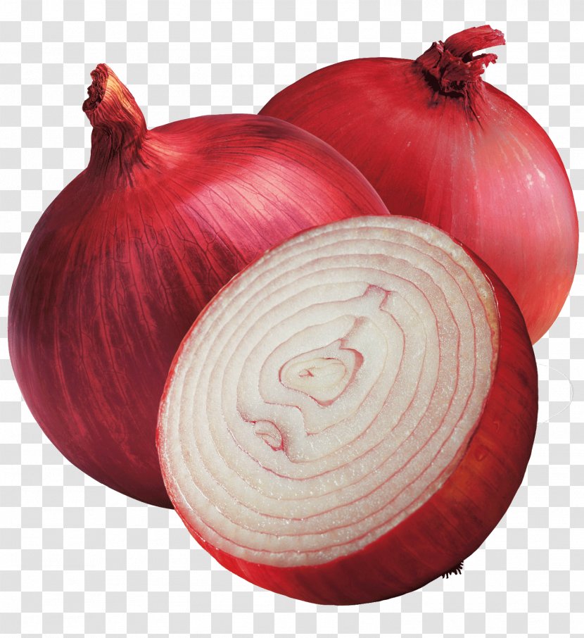 Red Onion Vegetable Shallot Bitter Melon Flavor - Yellow - Product Transparent PNG