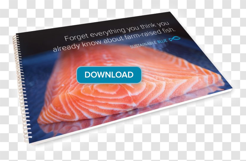 Sustainability Bay Of Fundy Fish Salmon As Food - Seafood - Brochure Template Blue Transparent PNG