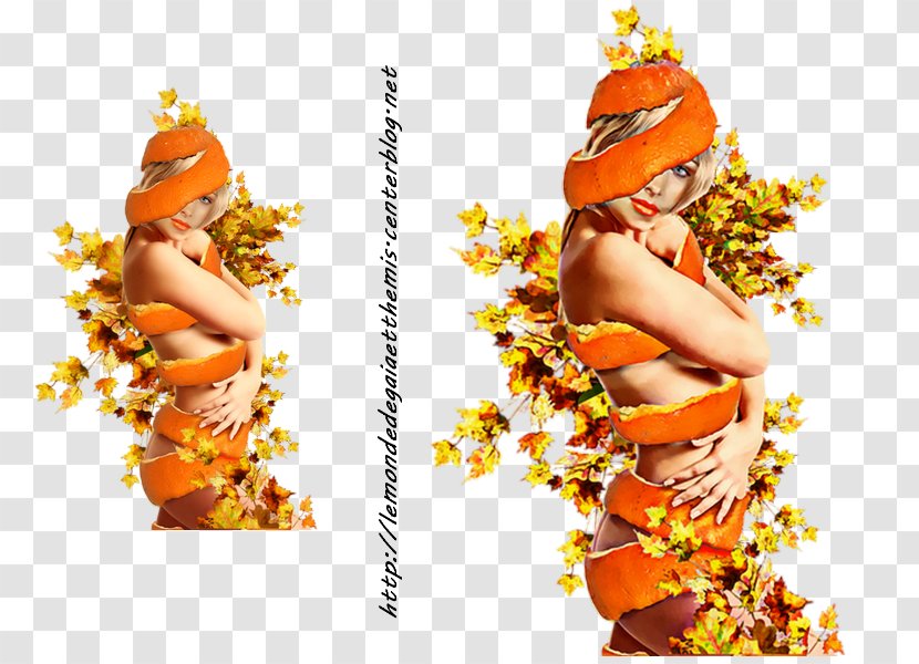 Lei - Orange - Femme Dessin Transparent PNG