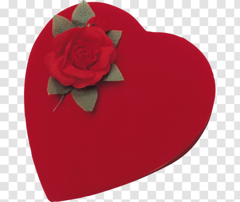 Valentine's Day GIF Vinegar Valentines Portable Network Graphics Clip Art - Shoe Transparent PNG