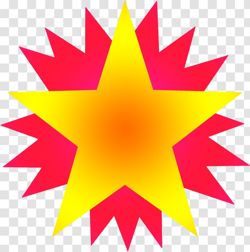 Star Drawing - Plant Transparent PNG