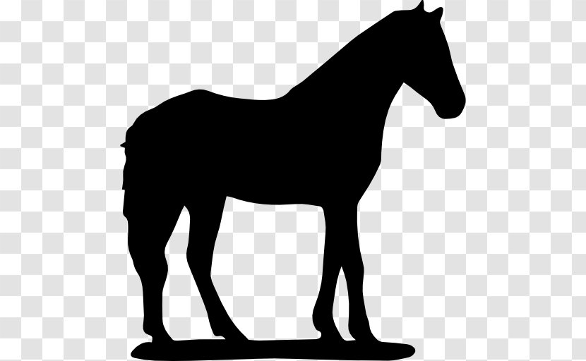 Horse Silhouette Download - Pony Transparent PNG