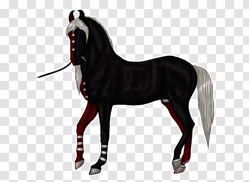Stallion Foal Rein Pony Mustang - Bridle Transparent PNG