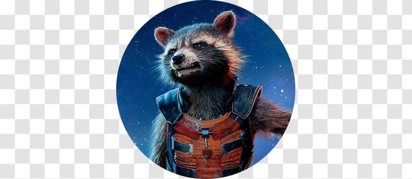 Rocket Raccoon Groot Kraglin Hulk Marvel Cinematic Universe - Snout Transparent PNG