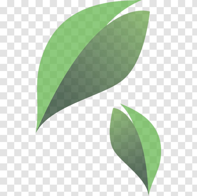 Leaf Green Plant Logo Clip Art - Flower Transparent PNG