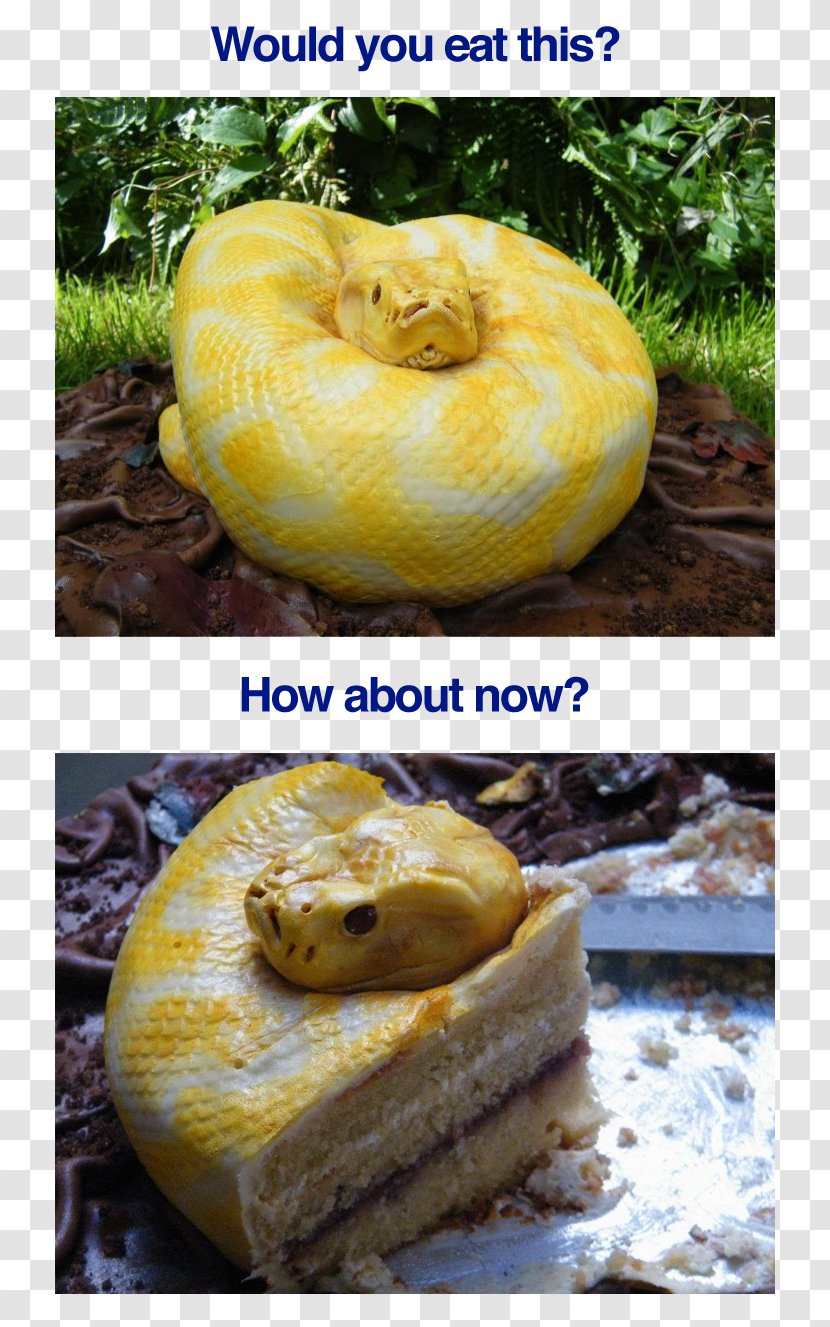 Angel Food Cake Bundt Black Forest Gateau Snake - Calabaza - Creative Real Fairy Tale Transparent PNG