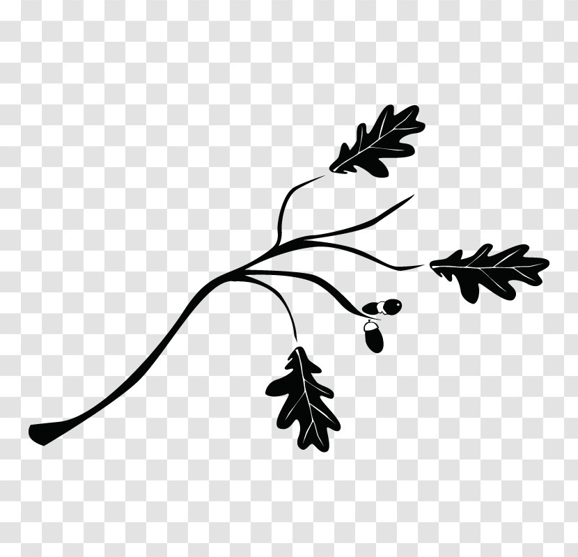 Twig Branch Tree Drawing Shrub - Flower Transparent PNG