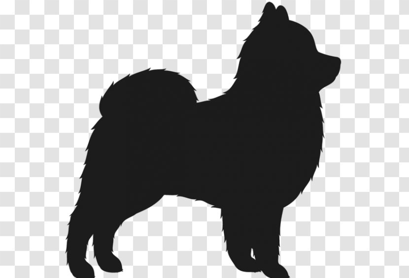 Pomeranian Finnish Spitz Chow Chihuahua Eurasier - Kennel Club - Puppy Transparent PNG