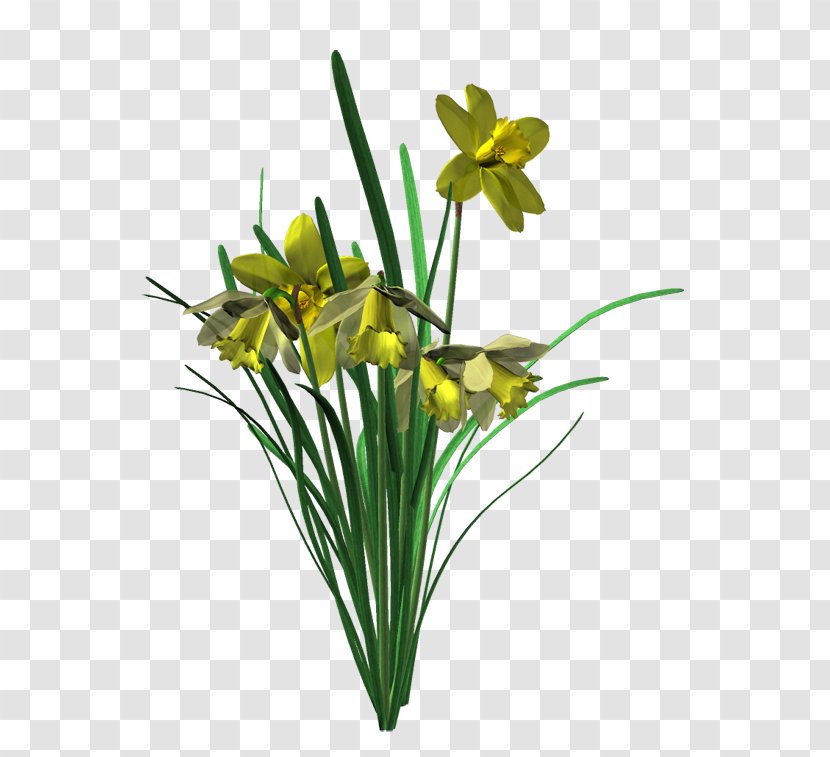 Cut Flowers HTML5 Video Floral Design File Format - Flower Transparent PNG