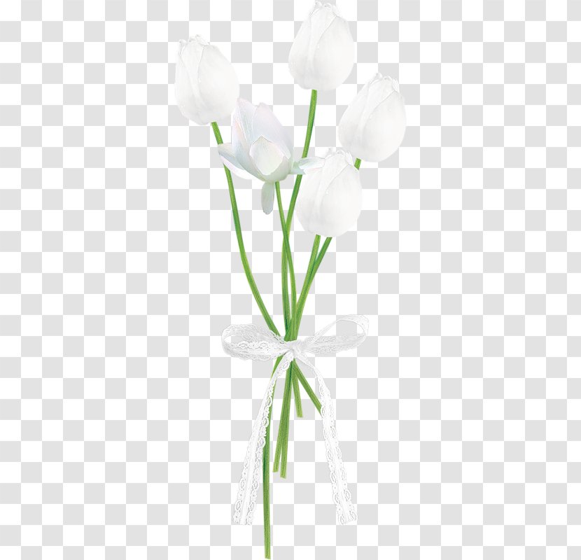 Tulip Cut Flowers Floral Design Flower Bouquet - Vase Transparent PNG