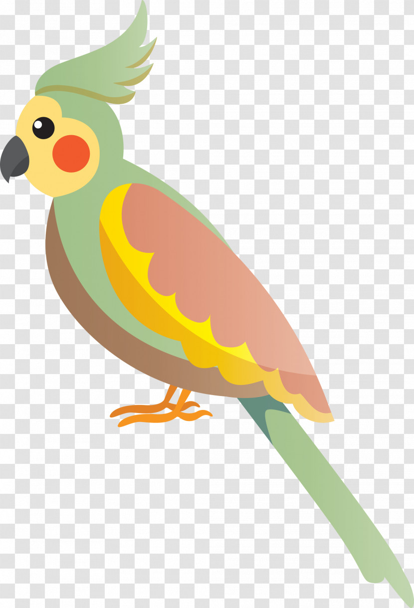 Lovebird Transparent PNG