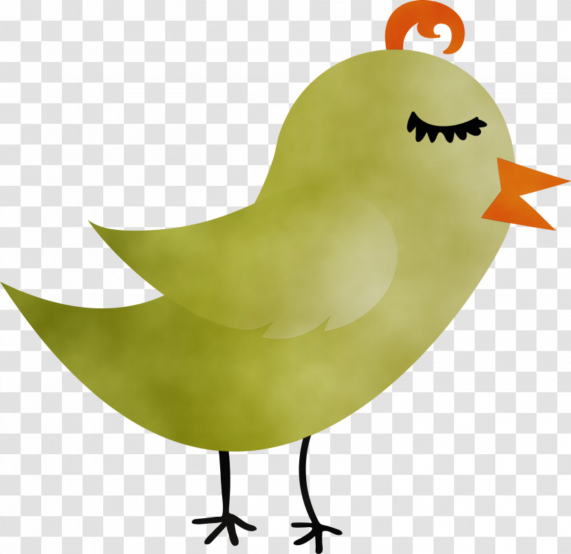 Bird Beak Chicken Perching Bird Transparent PNG