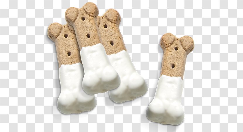 Labrador Retriever Bone Dog Biscuit Confectionery Image - Long - Skeleton Transparent PNG