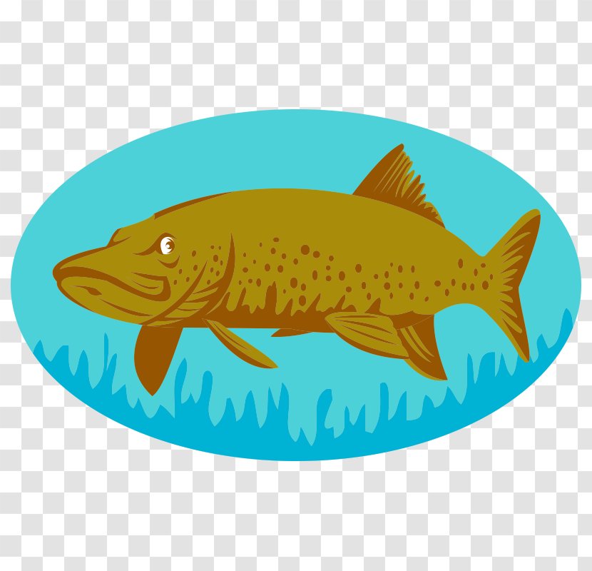 Northern Pike Muskellunge Stock Photography - Fishing Transparent PNG