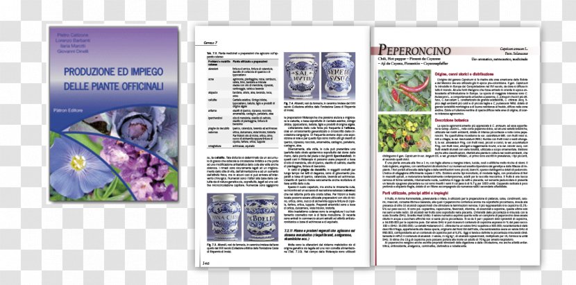Produzione Ed Impiego Delle Piante Officinali Pianta Officinale Brochure Font - Cremonese Transparent PNG