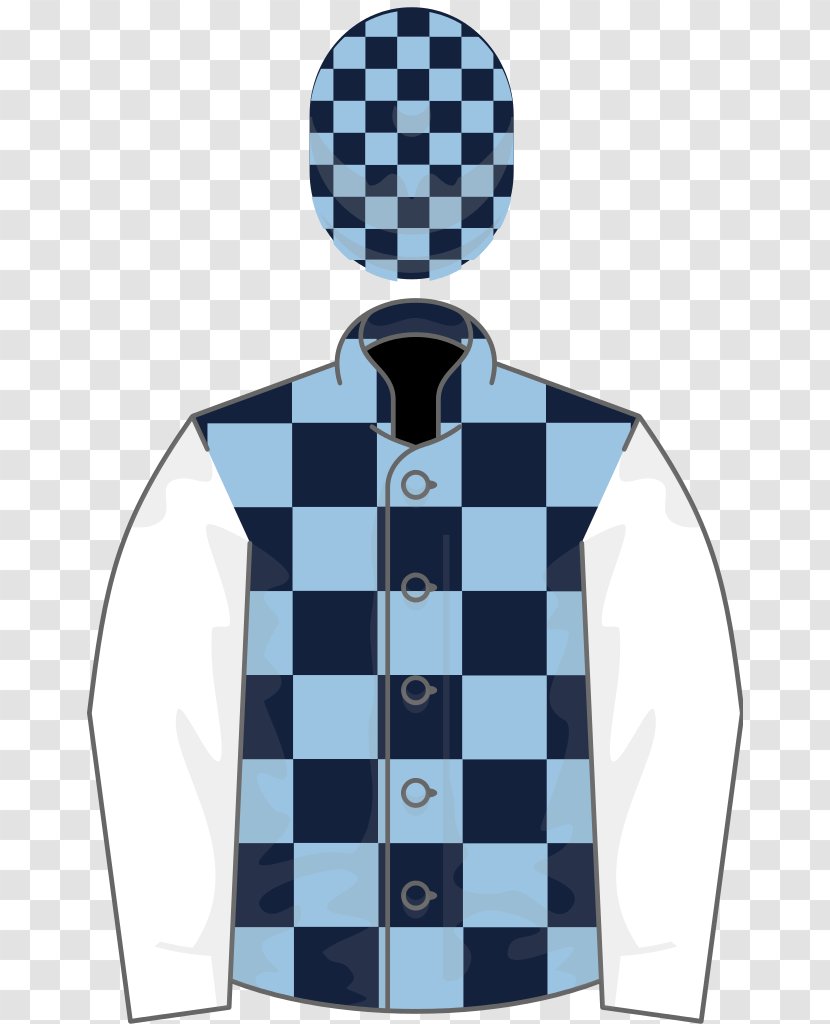 Chess Ascot Racecourse Spa Novices' Hurdle Horse Racing Vans - Stakes Transparent PNG