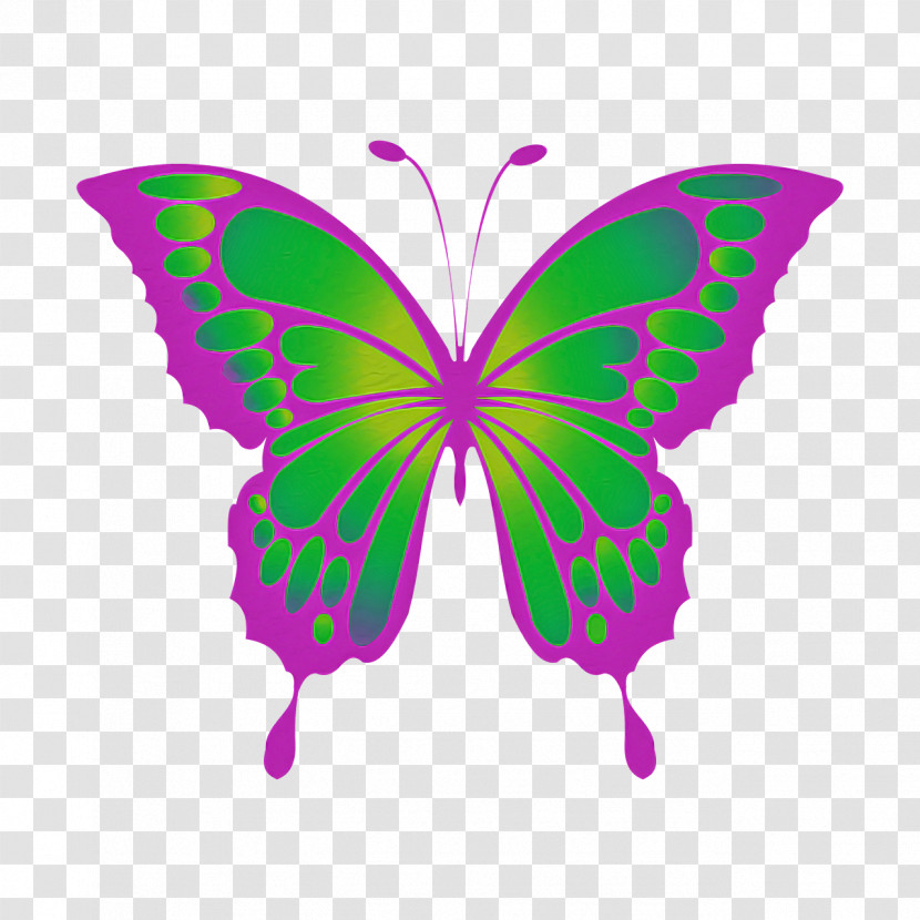 Monarch Butterfly Transparent PNG