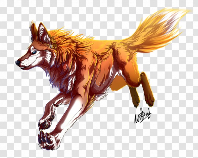 Red Fox Drawing DeviantArt Gray Wolf - Dog Like Mammal - Redhead Transparent PNG