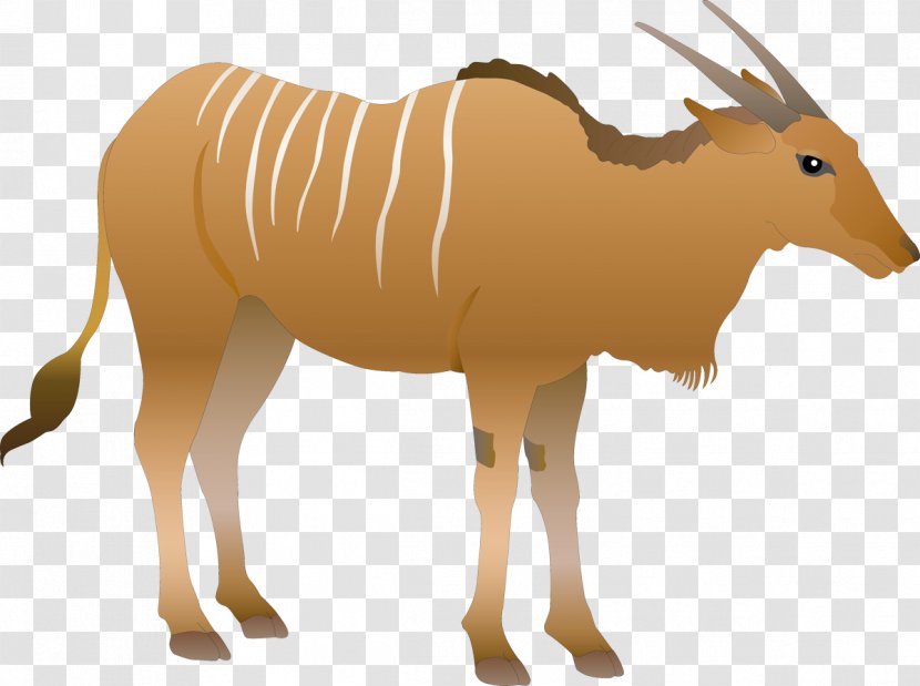 Cattle Ahuntz Clip Art - Organism - Deer Transparent PNG