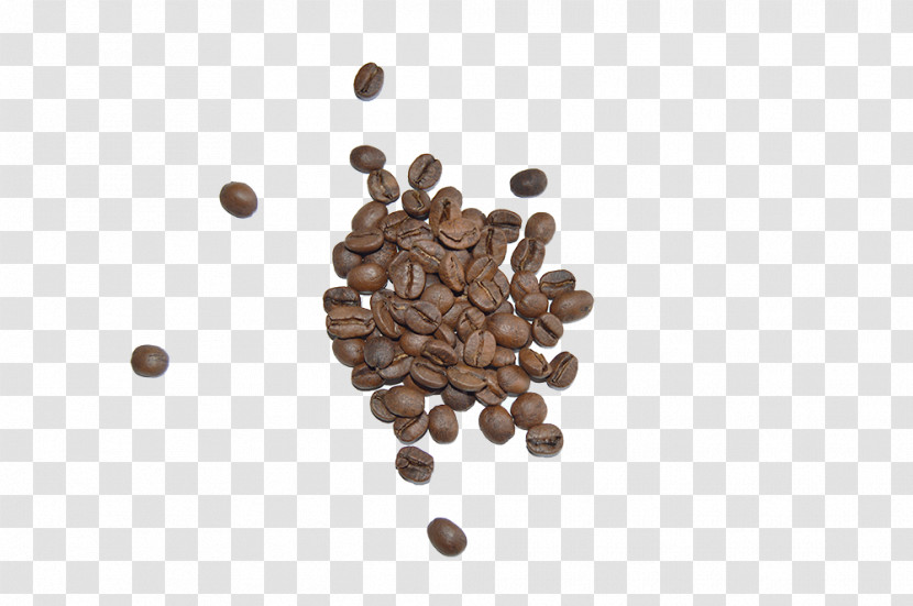 Food Plant Seed Spice Transparent PNG